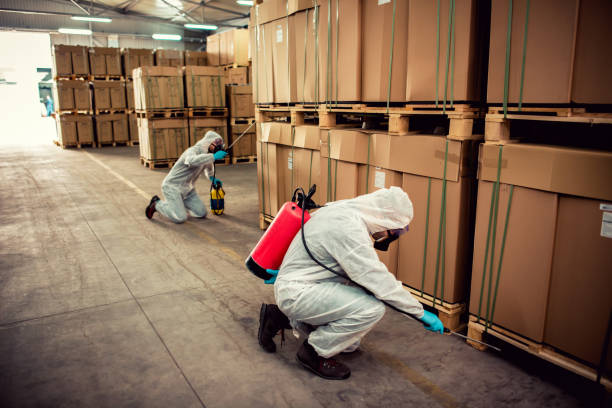 Best Affordable Pest Control Services  in Douglas, WY