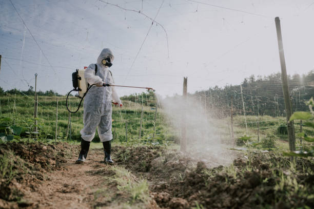 Best Best Pest Control Companies  in Douglas, WY