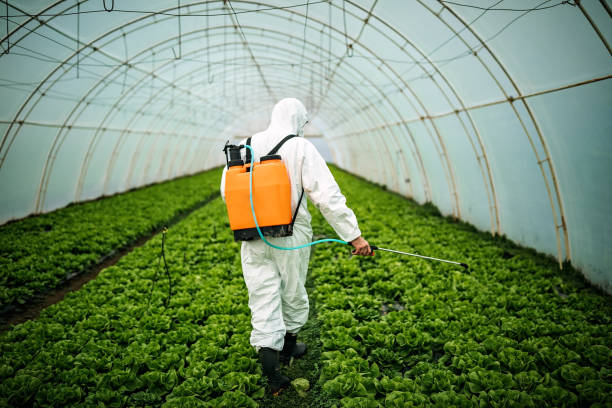 Pest Prevention Services in Douglas, WY