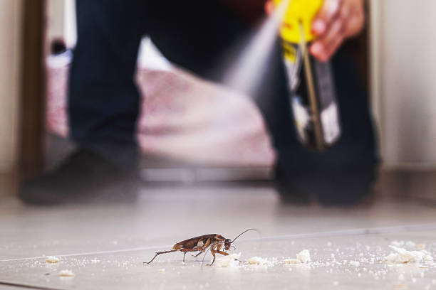 Best Local Pest Control Services  in Douglas, WY