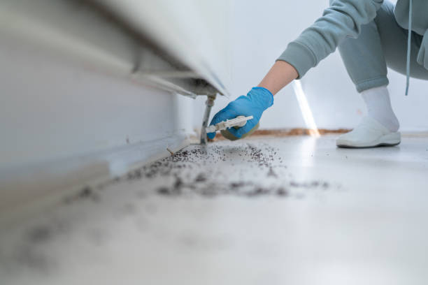 Flea Control Services in Douglas, WY